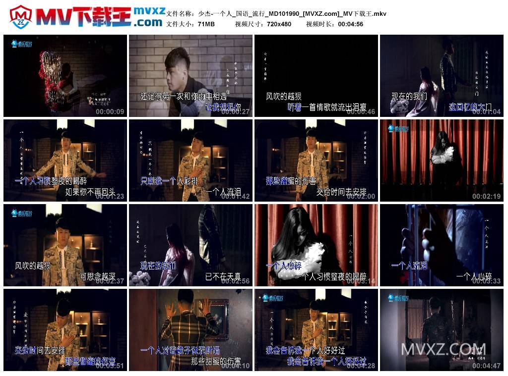 少杰-一个人_国语_流行_MD101990